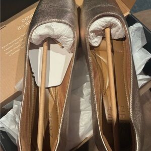 Elegant Metallic Women's Shoes